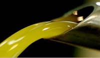 Olio pugliese diventa Igp toscano? 47 indagati per frode